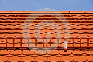 New tile roof covering of the house