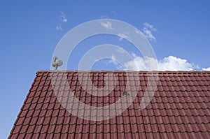 New tiled roof with louvered roof vent and cock in the sky photo