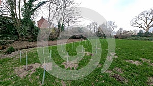 New Trees planted in Woodlands Park (The Spinney), IvybridgeDevon uk