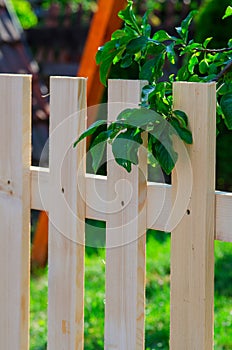 New uncolored wooden fence in a garden under a tree