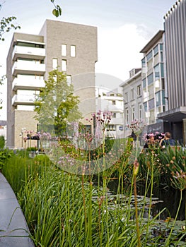 The new uncovered brook at the butter market in Mechelen