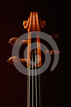 New violin fiddle scroll isolated on dark reddish background