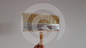 New wide paint brush in female fingers on white wall background.