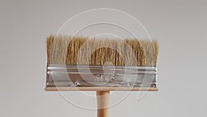 New wide paint brush on white wall background.