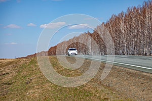 A new winding asphalt gray road with a white dividing strip between the forest and the field covered with grass in Russia with car