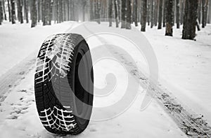 New winter tire on fresh snow near forest.