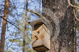 New wooden birdhouse on a tree for forest birds in the forest