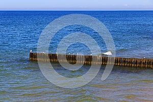 New wooden breakwater on the Baltic Sea coast