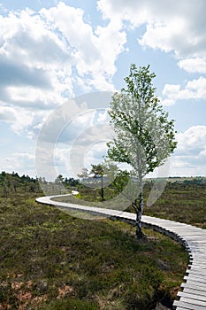 New Wooden path in a moor Landscape photo