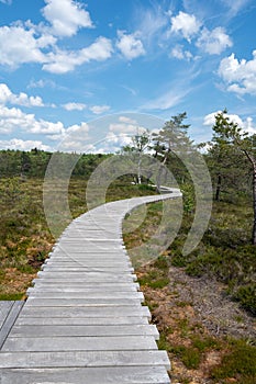 New Wooden path in a moor Landscape photo