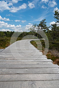 New Wooden path in a moor Landscape photo