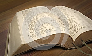 New world bible