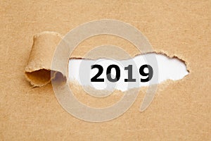 New Year 2019 Ripped Paper Concept