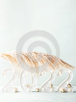 New year 2022 lights numbers with pampas branch, golden decor