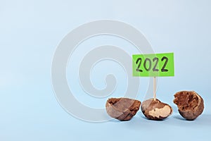 New year 2022 sign of hope and new life concept. Hope growing on emerging seed in blue background.