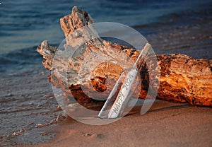 New Year 2024 Message In A Bottle On Driftwood