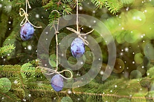 New Year card. Plum hanging on a Christmas tree.