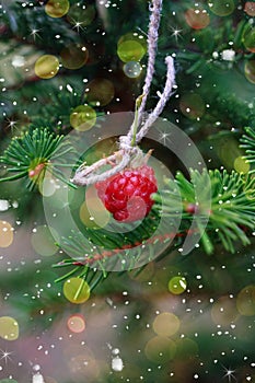 New Year card. Raspberry hanging on spruce.