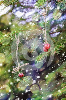 New Year card. Strawberries hanging on a spruce branch.