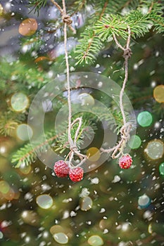 New Year card. Strawberries hanging on a spruce branch.