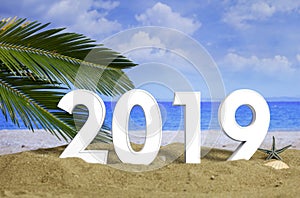 New year 2019 celebration on the beach, summer vacations. 3d illustration