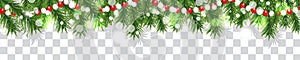 New Year and Christmas border garland of Christmas tree branches and beads on transparent background. Holidays decoration. Vector