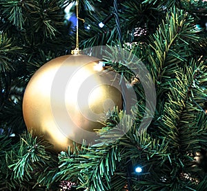 New year and Christmas. Christmas tree decoration ash ball. Ball in the branches of a festive Christmas tree.