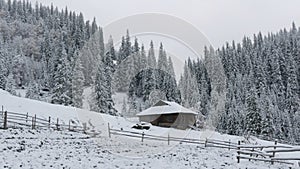 New Year and Christmas concept. Cozy wooden house in the snow in forest. Carpathian mountains in winter Ukraine, Europe