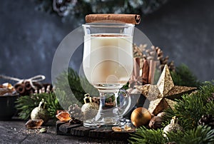 New Year or Christmas Eggnog cocktail - hot winter or autumn drink with milk, eggs and dark rum, sprinkled with cinnamon and