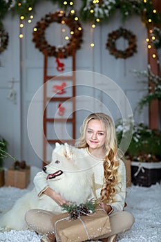 New Year concept. girl with her pet posing in a photo studio