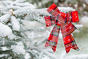 New year decoration red big bow on a snow-covered branch. Christmas tree toy on the branches of a fir tree covered with snow,