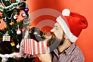 New year of Dog concept. Doggy pushes Santa away