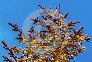 New year fir tree decorated with christmas lights, on blue night sky background