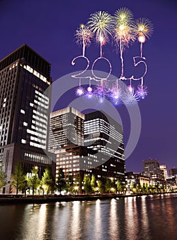 2015 New Year Fireworks celebrating over Tokyo cityscape