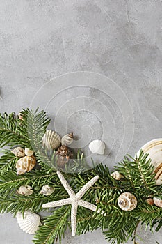 New year frame:  top view flat lay pine tree branches with seashells and starfish on grey background. Tropical christmas, holidays