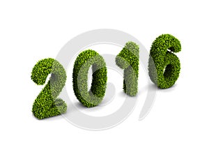 2016 new year green grassed concept isolated on white background