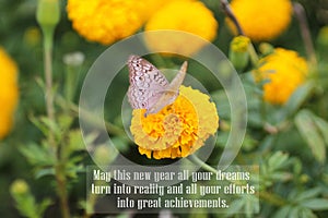 New year inspirational quote - May this new year all your dreams turn into reality & all your efforts into  achievements. photo