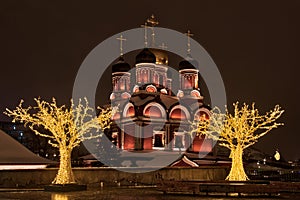 New Year Light Trees and Cathedral of the Sign at Night