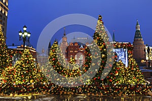 New Year Moscow, the festival `Journey to Christmas`. Fairy-tale forest on Manezhnaya Square