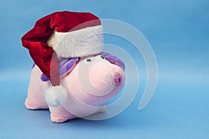 New Year pink pig in a red Santa Claus hat on a blue background, close-up, soft toy, New Year of the Pig 2019, Christmas