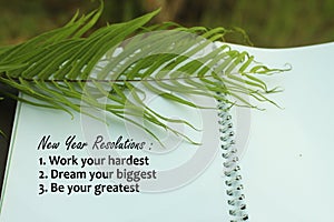 New year resolutions list concept - Work hard. Dream your biggest. Be your greatest. With green palm leaf and text on white book.