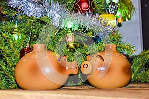 New Year`s card year of the pig piglet doll pots on the background of a dressed Christmas tree