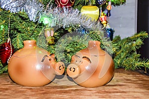 New Year`s card year of the pig piglet doll pots on the background of a dressed Christmas tree