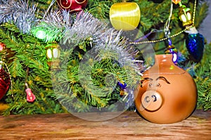 New Year`s card year of the pig piglet doll pots on the background of a dressed Christmas tree