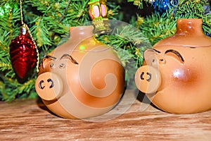 New Year`s card year of the pig piglet doll pots on the background of a dressed Christmas tree