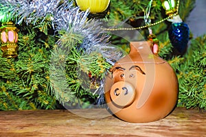 New Year`s card year of the pig piglet doll pots on the background of a dressed Christmas tree