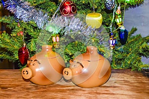 New Year`s card year of the pig piglet doll pots on the background of a dressed Christmas tree