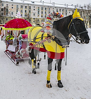 On New Year`s and Christmas holidays, you can ride in a festive carriage