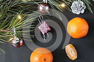 New Year`s Christmas still life branch of pine tree next to the tangerine cones silver burns garland on a black background with a