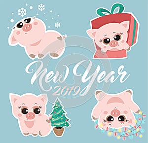 New Year`s cute pigs a vector illustration
